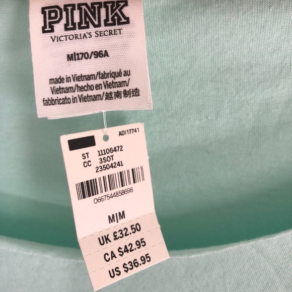 VS PINK | Oversize Mint Chicago Tee (VS80102) - Picture 4 of 5